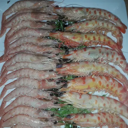 Hispalis